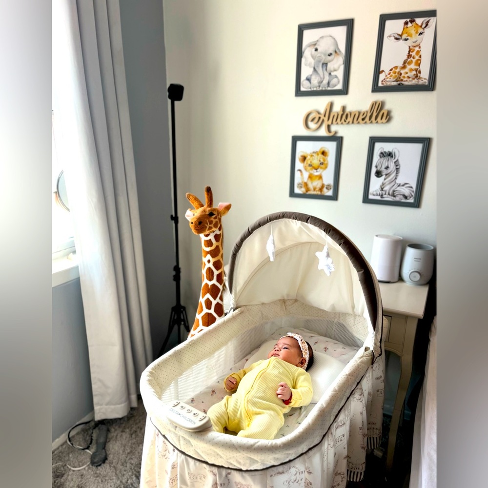 COPY - Selling delta baby bassinet. I used it for my daughter but she grew out …